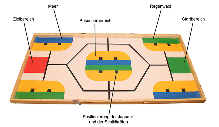 Spielfeld Regular Category 2017 Altersklasse Elementary